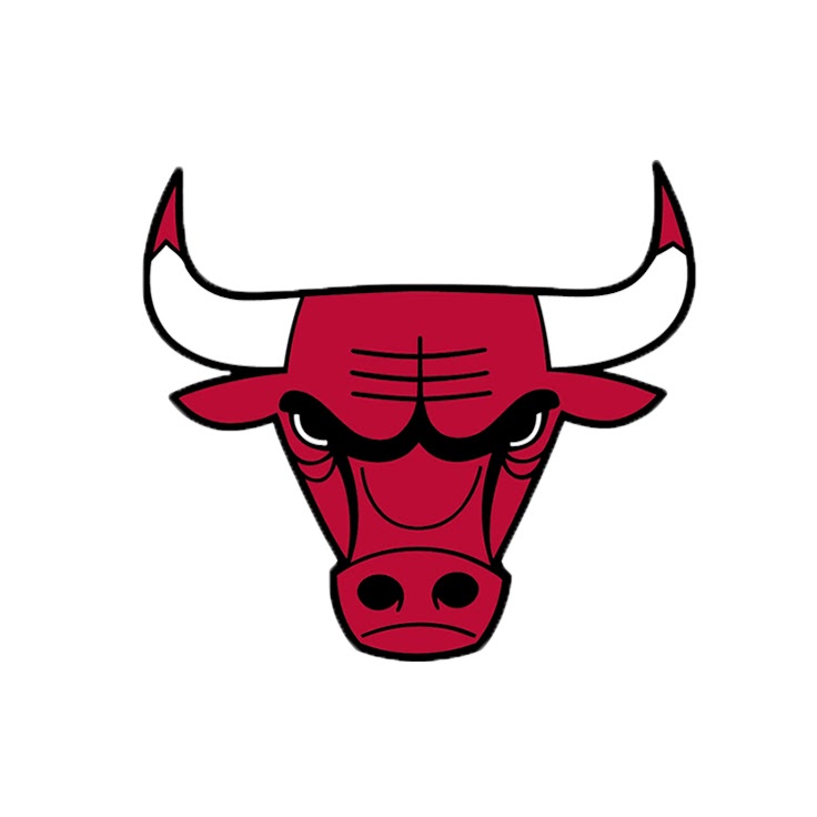 Chicago Bulls Photo