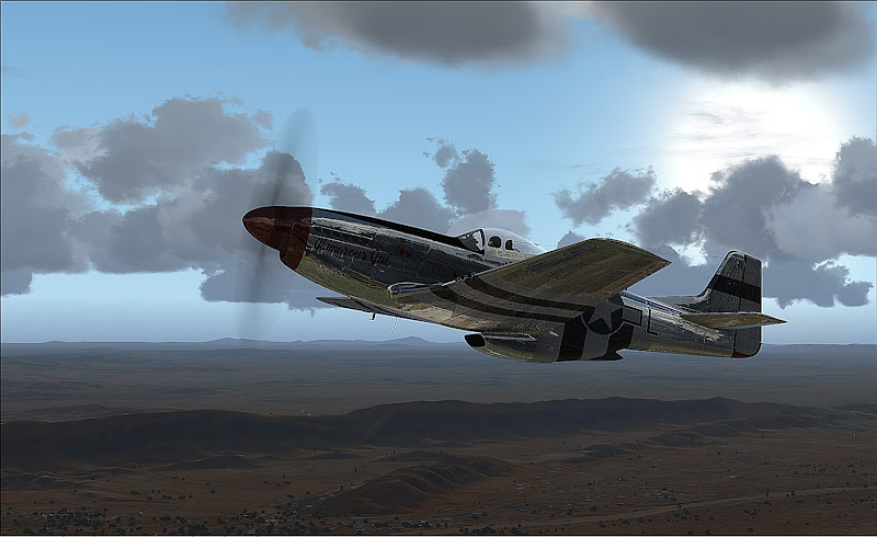 P51D_1.jpg