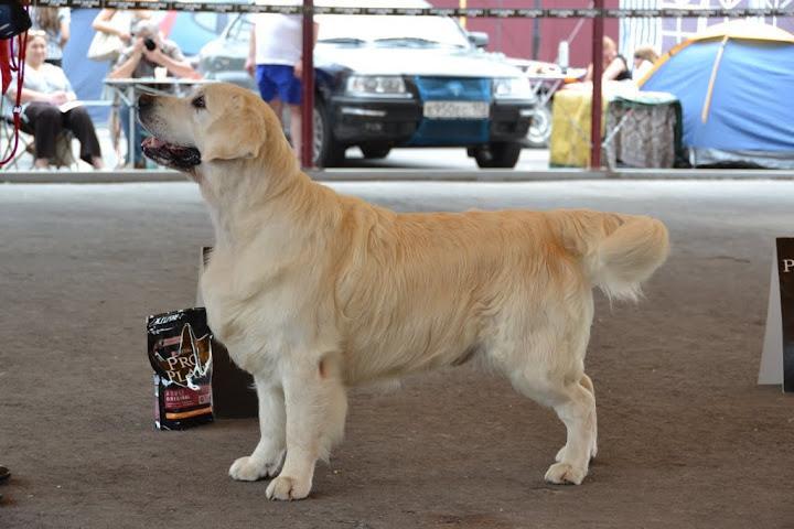 DSC_3824.JPG