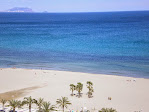 VISTAS Venta de piso con piscina y terraza en Playa San Juan (Alicante), 1 linea de playa