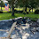 Jacksonville Pavers