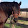 Linda Ann Nickerson Linda Ann Nickerson's profile photo