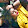 Ghazale Roshan Ghazale Roshan's profile photo