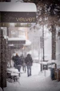 Velvet