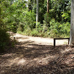 Intersection of Bar Trail and Warrawolong Rd (363992)