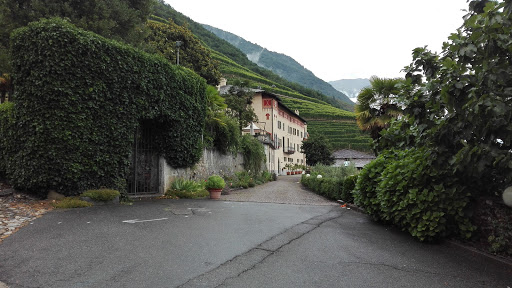 Main image of Casa Vinicola Triacca - Tenuta la Gatta (Valtellina)