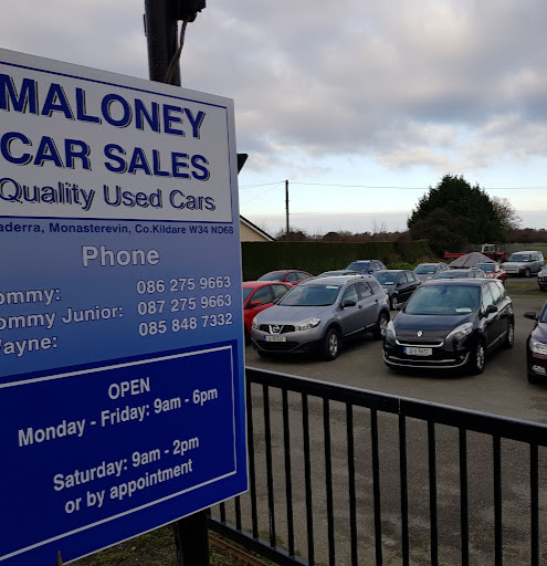 Wayne Maloney Car Sales