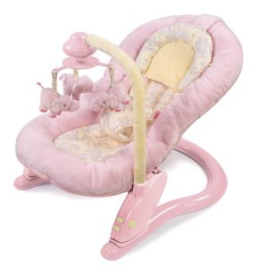 Summer Infant Deluxe Soft Embrace Comfort Bouncer