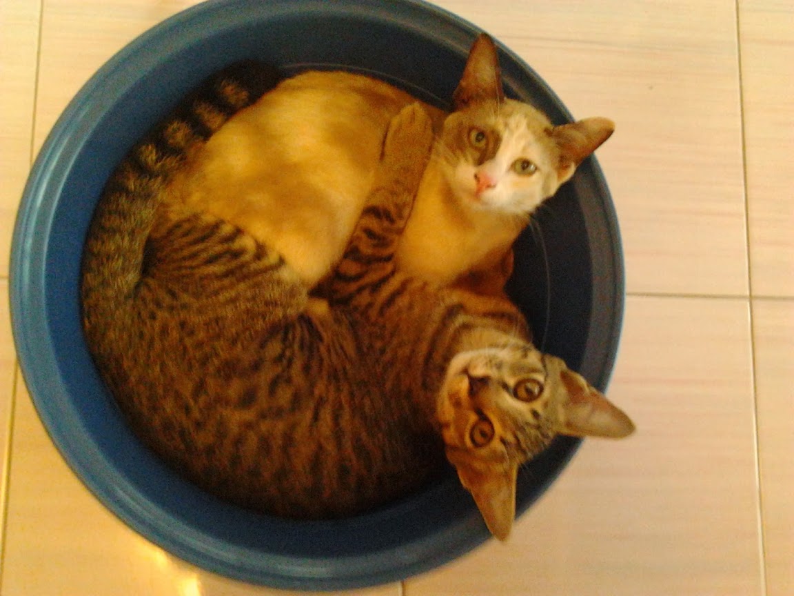 2013-03-18+16.34.12.jpg
