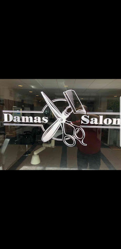 Damas Salon logo
