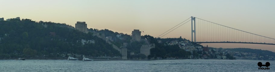 Simplemente Estambul - Blogs de Turquia - Santa Sofia, Gran Bazar, Crucero Bósforo, etc 25/09/12 (21)