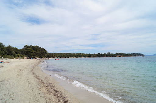 Plage du Pellegrin