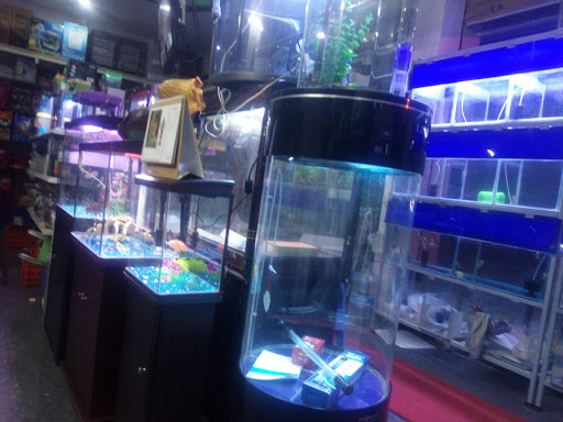 Lakshmi Aquarium And Pets, No. 2222, 4th Cross, Basaveshwara Road, Kr Mohalla, Mysuru, Karnataka 570004, India, Pet_Care_Store, state KA
