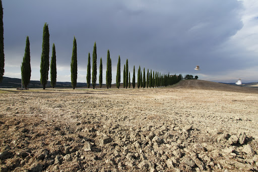 Farmhouse Poggio Covili