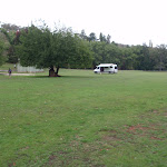 Large open areas and a campervan