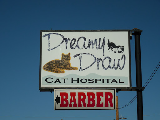Veterinary Care «Dreamy Draw Cat Hospital», reviews and photos