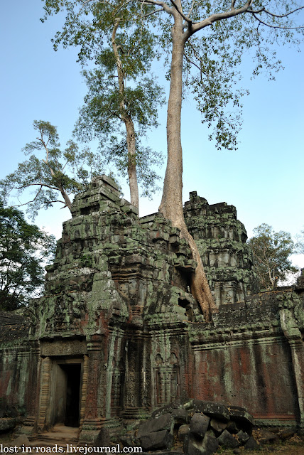 Камбоджа, январь 2013