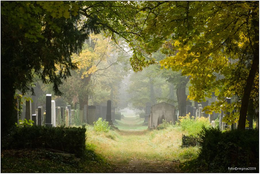 Tipp: Friedhofsgeschichten -  Menschen  foto%28c%29regina2009-095