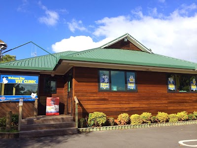 veterinary-care
