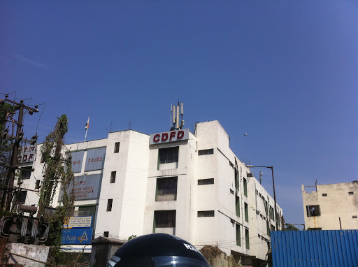 Centre for DNA Fingerprinting And Diagnostics (CDFD), Tuljaguda Complex, (Opp. M.J. Market), Nampally, Hyderabad, Telangana 500001, India, Research_Center, state TS