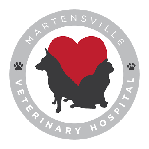 Martensville Veterinary Hospital logo