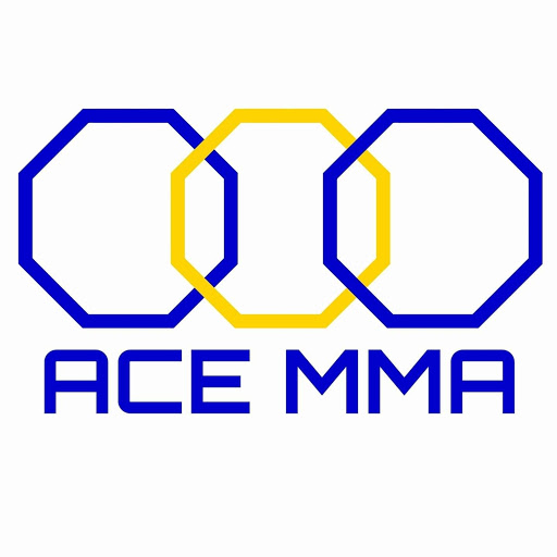 ACE MMA Martial Arts Centre logo