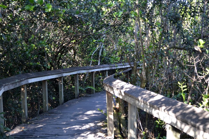 Национальный парк Эверглейдс, Флорида (Everglades National Park, FL)