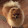 phuc ly phuc ly's profile photo