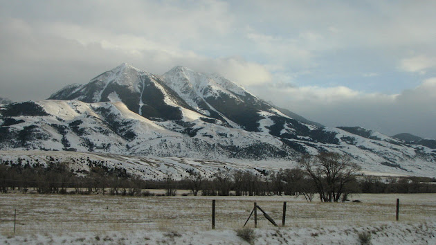 Cover photo