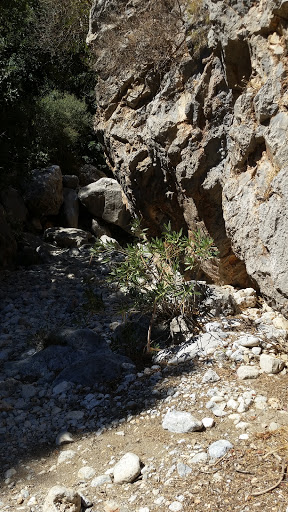 Gorge of Kritsa