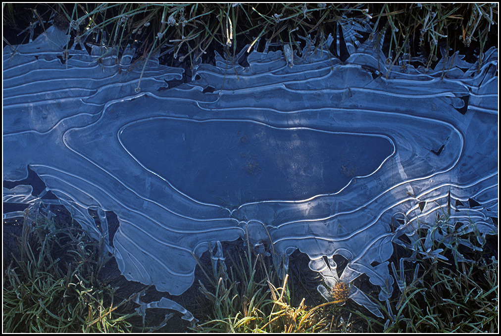 Frozen Puddle, Yosemite  –  My very first photo when I decided to take up photography.