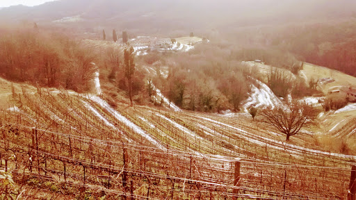 Montevecchia Regional Park and Curone Valley