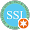 SSI Inc India