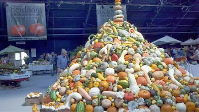 Some Vegetables Require Less Water than Others