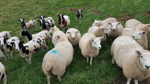 Mile Bank Farm at Mile Bank Farm