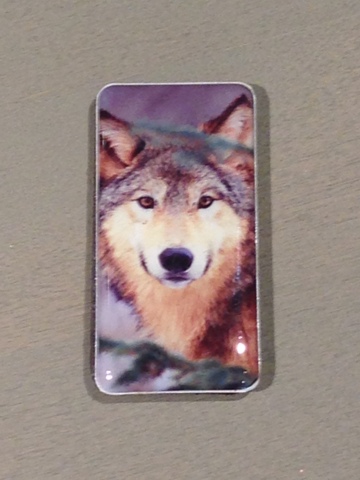 Elegant Loup なぜかアラスカ