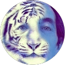 Image Google de David Josse