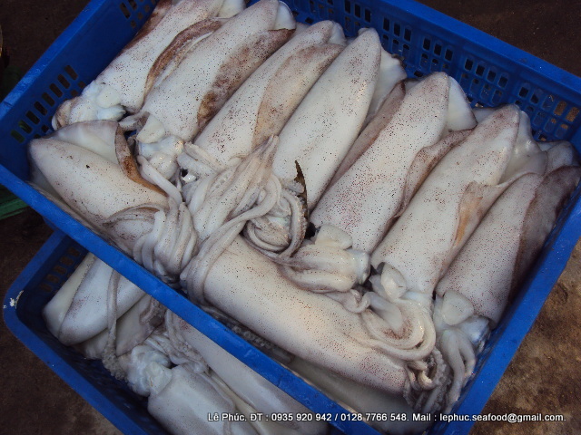 Về MIỀN TÂY ăn cá LINH nhé Ae ... Mời Ae thưởng thức ... ! - 7