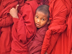 monaci-buddisti-morti-foto-shock.jpg