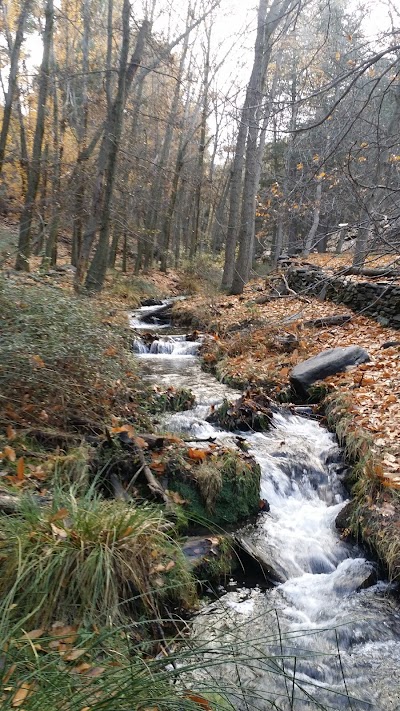 Photos of Area Recreativa La Rosandr&agrave;