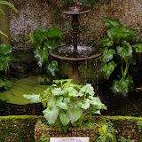 Botanic Garden - Gibraltar, UK