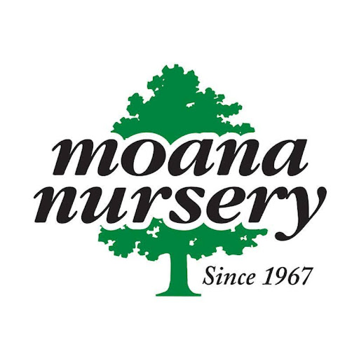 Moana Nursery logo