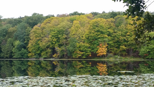 Teatown Lake Reservation