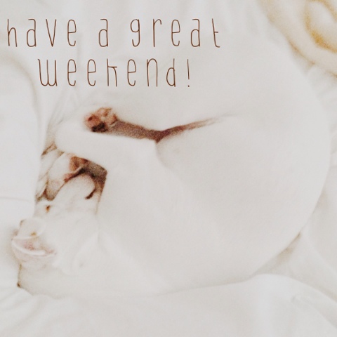 Have a great weekend! Sleepy dog