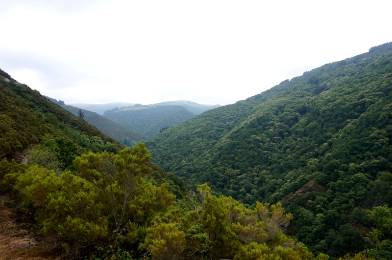 Ruta del Agua (Taramundi) - Descubriendo Asturias (22)