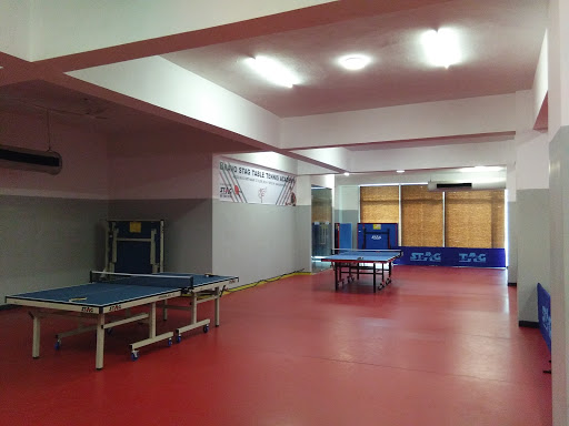 BRAVO Table Tennis Academy, A-2/30, WHS Block 2, Block A, Ware Housing Scheme, Kirti Nagar, New Delhi, Delhi 110015, India, Table_Tennis_Club, state DL