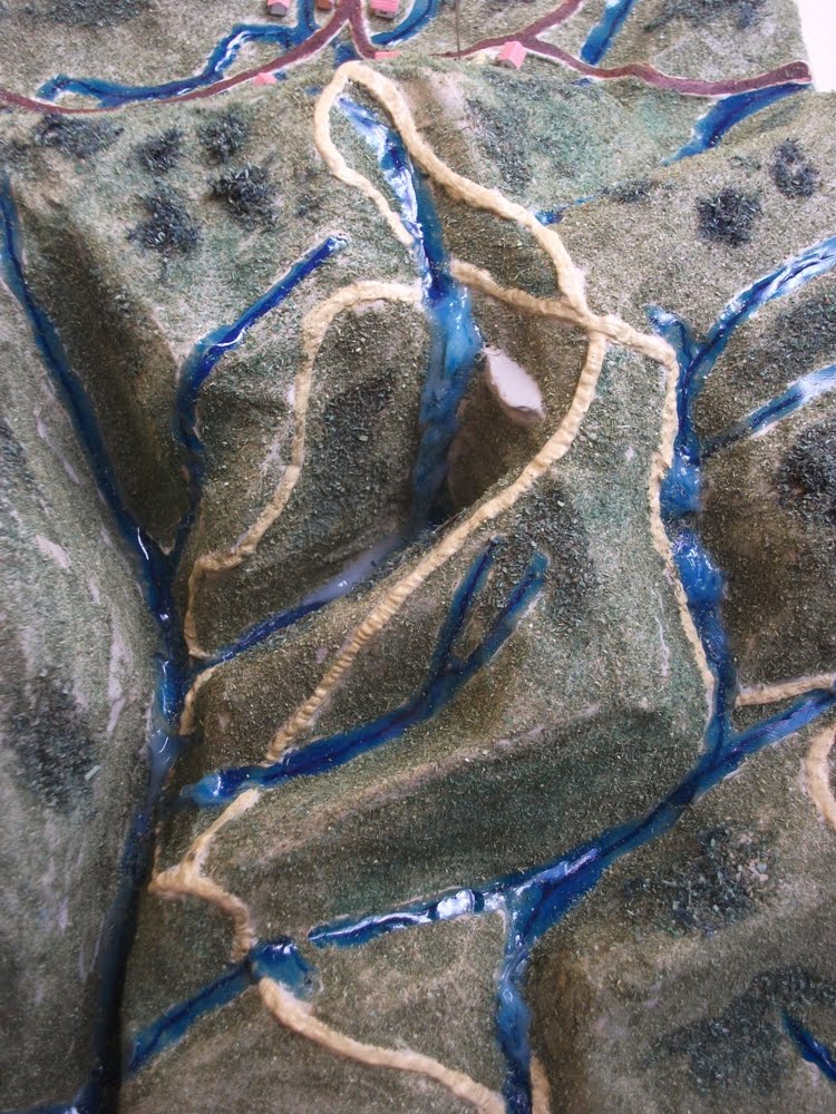 Desenho esquemático do habitat vala na Fumaça, Chapada Diamantina