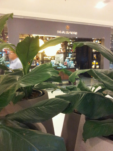 Zen Department Store