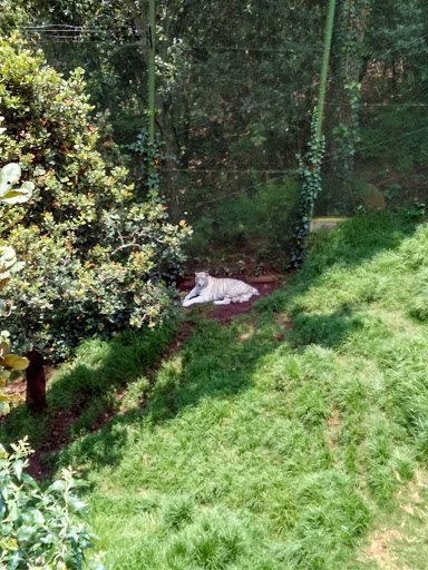 Bioparque Estrella