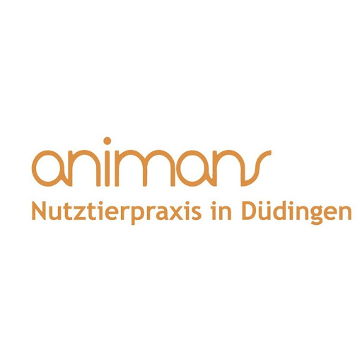 animans GmbH